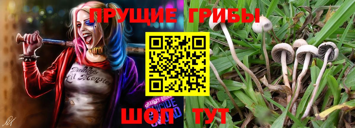 Галлюциногенные грибы Magic Shrooms  Вход с VPN  Электросталь 